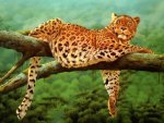 Jaguar On Branch