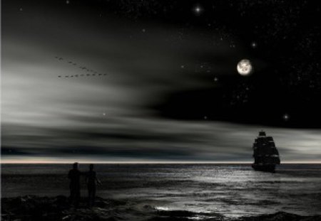 Moonlight Voyage - moon, art, sailing ship, night, darkness, sea, birds