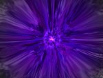 Purple Warp