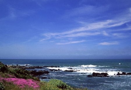 Central California coast - central, coast, california