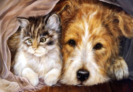 my friend - my friend, cat and dog