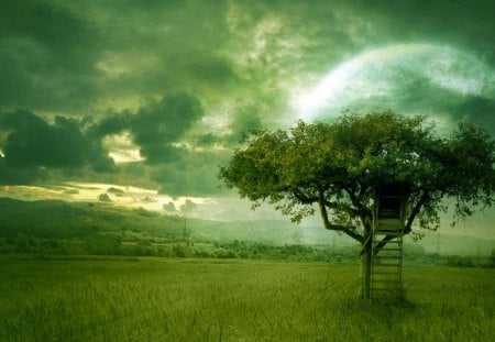 Golden Dream - green moon, fantasy, tree, dreamy, sky