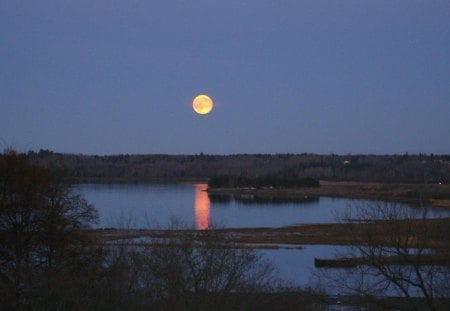 Untitle02 - moon, dark, river, blue, night