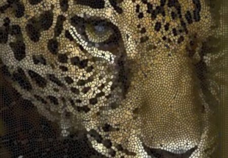 leopard face - leopard face, leopard