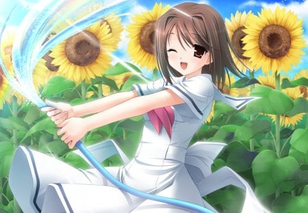 Playing with Water - water, cute, flowers, anime, anime girl, sun