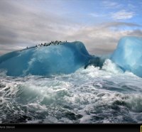 Blue Iceberg