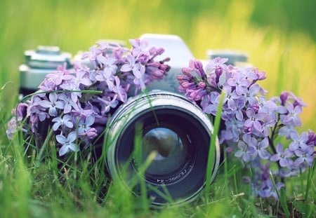 Camera w/Flowers - nice, flowers, camera, lovely