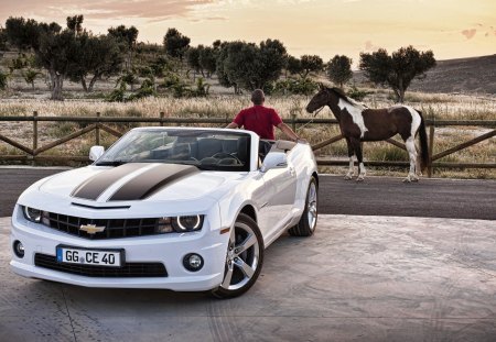 Lovely Photography - nice, car, lovely, horse