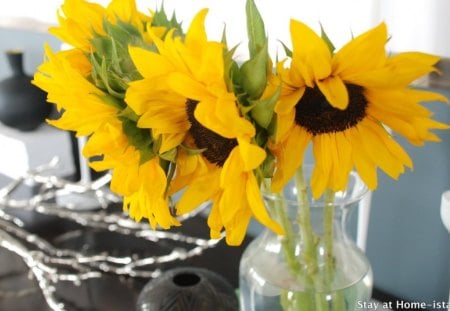 Stay at Homeâ™¥ - sunflowers, black, wonderful, decorate, silver, yellow, forever, stay, love, fashion, lovely, entertainment, bright, at home, details, warm, sweet