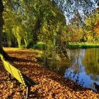 Walk in autumn park