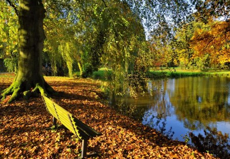 Walk in autumn park - pretty, quiet, relax, sunny, walking, forest, reflection, leaves, calmness, bench, lake, golden, nice, falling, trees, water, beautiful, pond, lovely, rest, fall, river, nature, autumn, serenity, foliage, bank