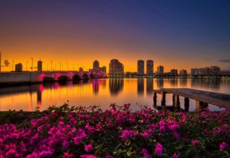 Pink flowers beach