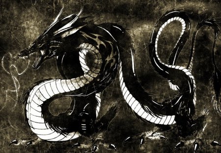 THE BLACK DRAGON - dragon, beast, black, legend