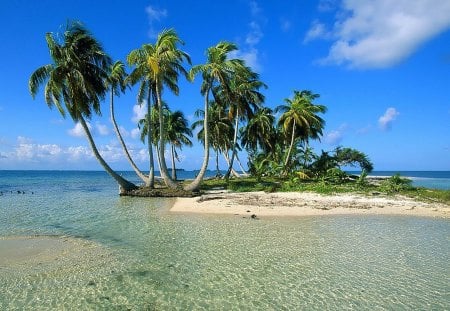 tropic - nature, beach, ocean, water, tropic