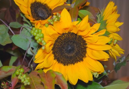 Fall Again♥ - sunflowers, yellow, forever, beautiful, decor, fashion, colors, entertainment, love, fall, autumn, bright, again