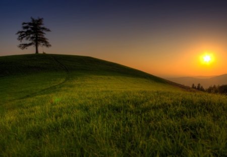 Beautiful View - nature, view, sky, beautiful, tree, sunset, mountains