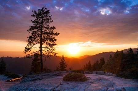 Beautiful View - nature, sky, view, blue, beautiful, tree, mountains