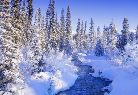 Winter Wonderland - winter, scenic, snow, creek