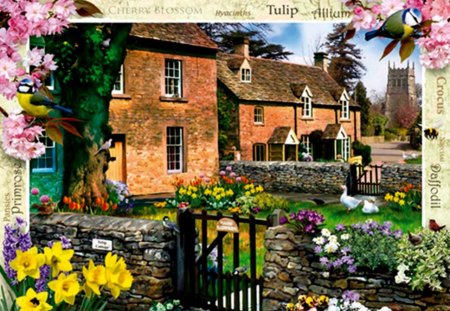 TULIP COTTAGE - homes, artworks, gardens, cottages, daffodils, houses, ducks, gates