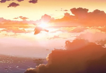 bird - 5 centimeters per second, anime, wallpaper, other