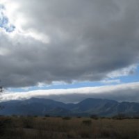 Arizona Mountains