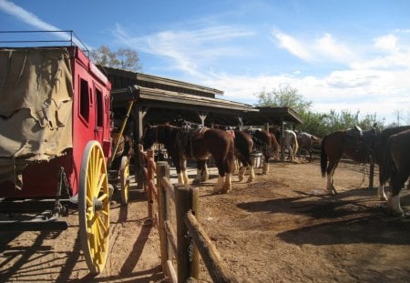 Resting The Horses - horses, sky, horse, animals, stage