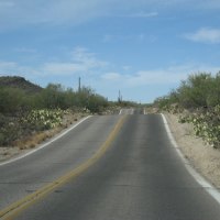 Arizona Desert Road