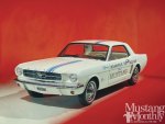 Ford Mustangs 1965 1972 Special Editions