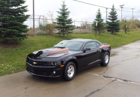 Camaro COPO - zl1, copo, ss, camaro