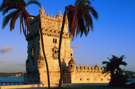 watchtower behind palm trees - watchtower, behind, palm, trees