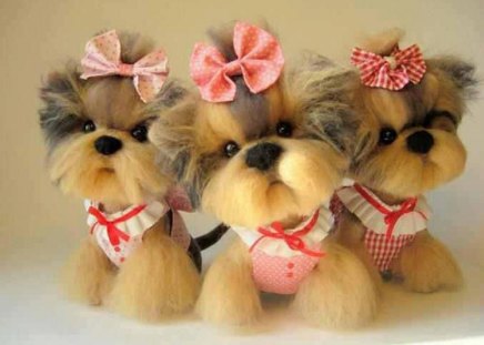 Three Stuffed Cuties - abstract, cute, puppies, photo, stuffed toy