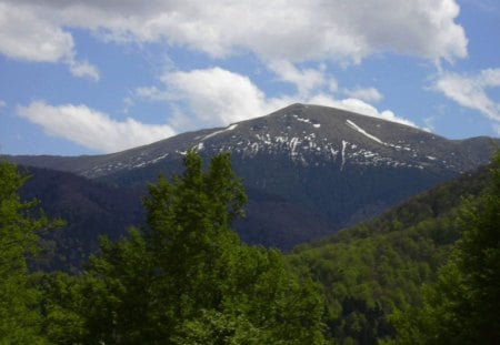 Pirin mountain - forest, photo, nice, photography, trees, nature, mountain, bulgaria, green