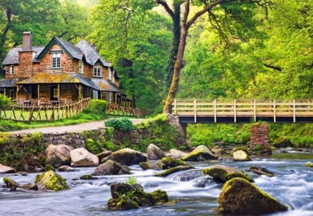 Peaceful place in forest - calm, sunny, summer, cabin, creek, stream, grass, forest, calmness, shore, floating, nice, cottage, house, greenery, sunlight, branches, beautiful, lovely, rest, stones, river, nature, rays, green, serenity, peaceful, bridge, bank