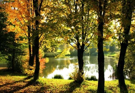 Lake in park - forest, reflection, leaves, shore, waters, lake, nice, falling, trees, beautiful, pond, mirrored, lovely, fall, glow, nature, season, autumn, foliage, park