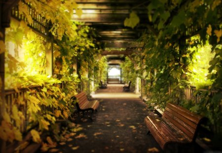 Autumn - leafs, trees, nature, beautiful, autumn, bench, leaves