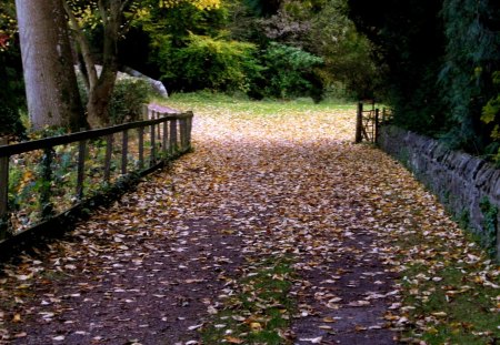 leafy path - leaves, park, autumn, trees