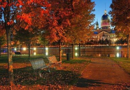 *** Night City Lights *** - drzewa, park, swiatla, natura