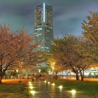 *** NIGHT CITY LIGHTS - Japan