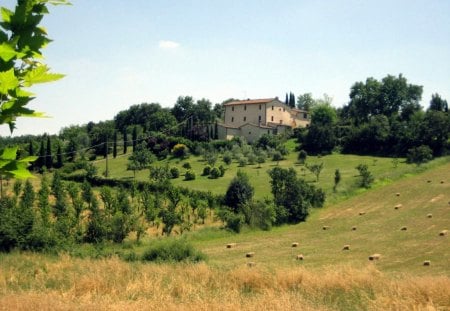 Tuscany - nature, sky, trees, blue, leaves, green, leaf, house