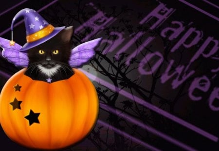 Halloween Cat - purple, halloween, orange, pumpkin, cat