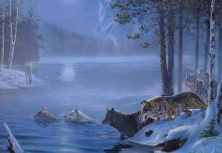 Night Crossing - wolfpack, frosty, animals, magic, predators, dog lover, hunters, wolves, dry trees, reflections, white trees, art, view, river, moonlight, frozen, branches, streams, lake, signals, scenic, light, glanced, wolf, nature, snow, beautiful, wild, seasons, animal, canine, shadow, beauty, trees, howl, across, water, wonderful, fantasy, painting, dogs, tree, cute, splendid, magnificent, love, predator, swim, forests, magical, winter, night, lovely, the river, blue, scenery