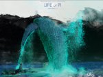 Whale    [Life Of Pi]