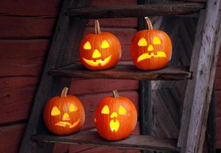 Halloween pumkins - halloween, punkins, photohtaphy, abstract