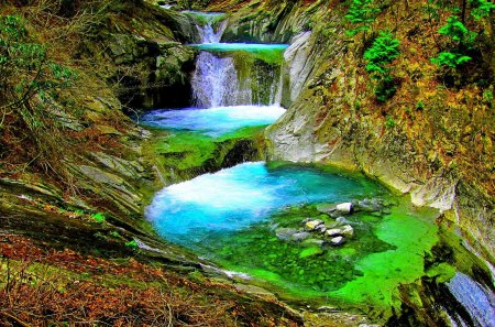 FOREST CASCADE - rock, forest, cascade, falls