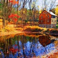 House near forest pond