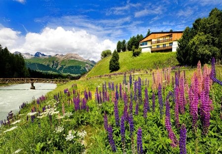 House on hills - pretty, hills, summer, creek, stream, grass, meadow, mountain, flowers, fresh, shore, riverbank, scent, cliffs, field, lake, hotel, nice, sky, clouds, lupine, beautiful, slope, fragrance, lovely, freshness, peaks, rest, colorful, river, nature, bridge