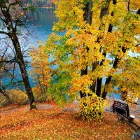 Autumn river view