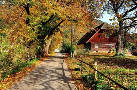 Countryside in autumn - pretty, villas, warm, sunny, alley, forest, leaves, calmness, flowers, path, countryside, garden, nice, houses, falling, trees, beautiful, lovely, fence, village, harmony, fall, nature, autumn, cabins, serenity, cottages, country, peaceful, foliage, park