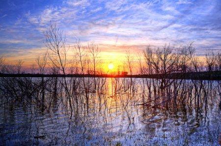 Mercury Pond - pond, reeds, mercury, sunset