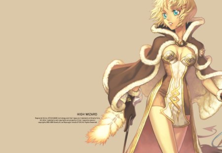 High Wizard Ragnarok Online Video Games Background Wallpapers On Desktop Nexus Image